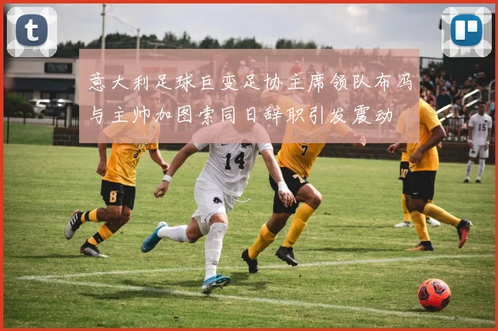 意大利足球巨变足协主席领队布冯与主帅加图索同日辞职引发震动